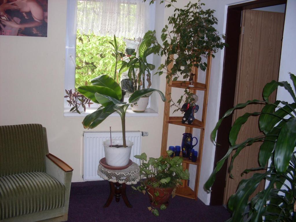 Pension U Kastanu Karlovy Vary Quarto foto